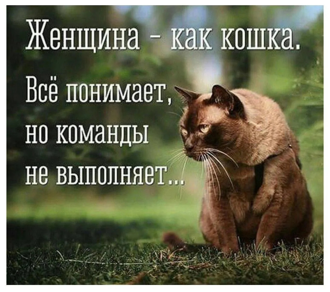 Есть такое 😹😹😹
