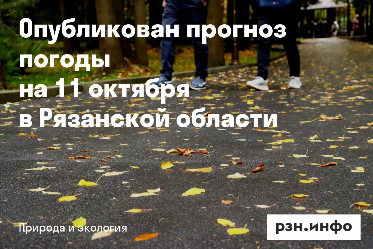 Опубликован прогноз погоды на 11 октября в Рязанской области