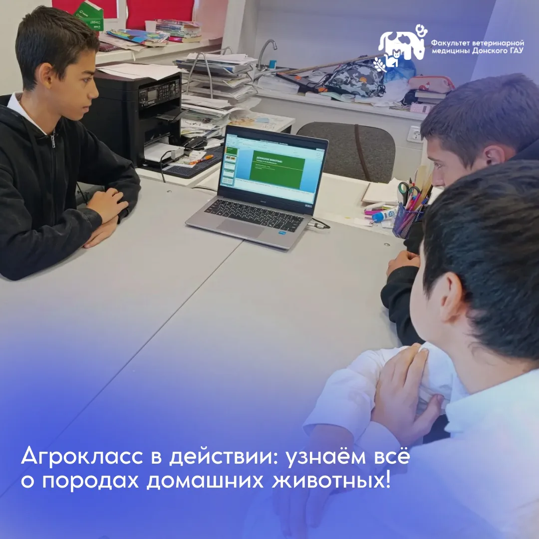 🌾 Агрокласс в действии: знакомимся с породами домашних животных! 🐄🐎