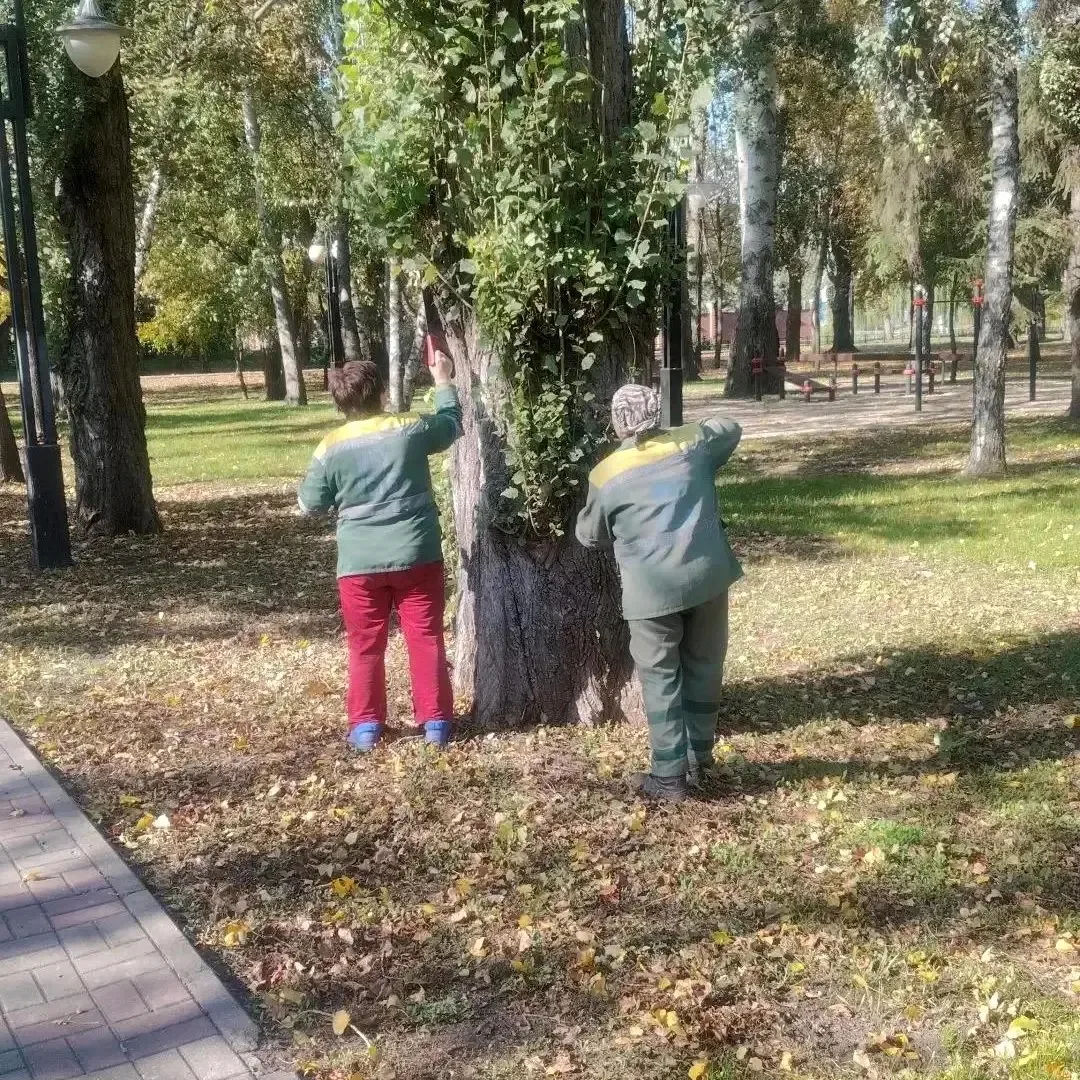 12 октября на улицах Белгорода порядок наводят 187 специалистов и 60 единиц спецтехники...