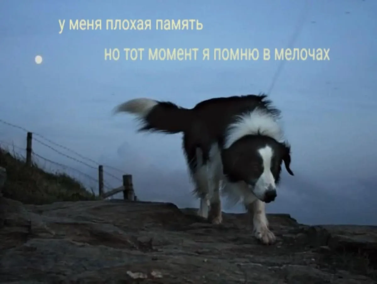 у меня плохая память, но тот момент я помню в мелочах