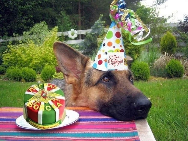 💚 🎉Сегодня 13 октября День рождения отмечают 97 участника группы!