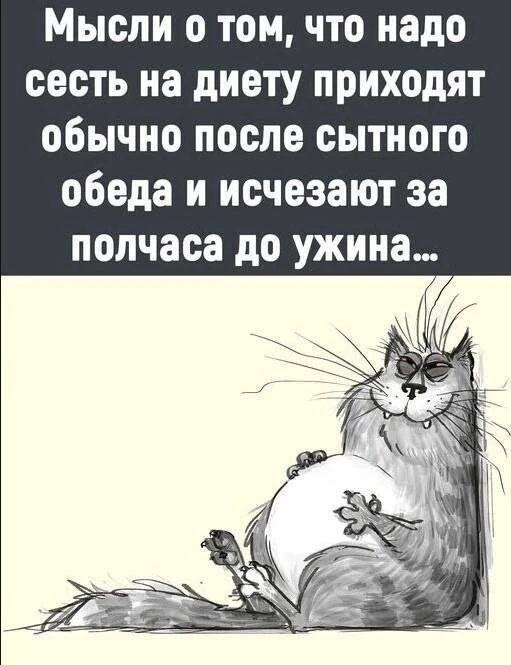 👉 Ёжка - Подписаться