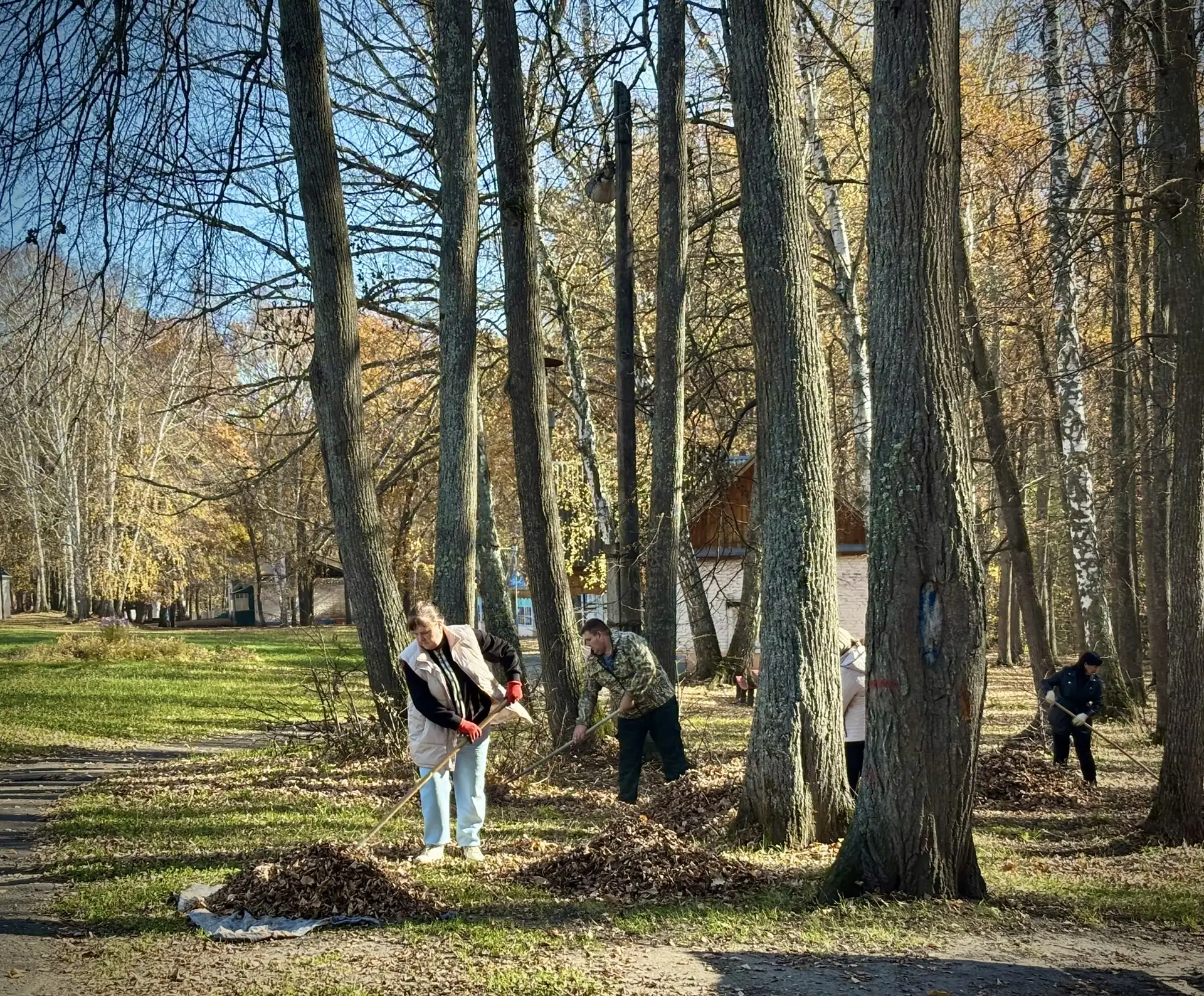 🍂🧹«Чистый четверг» в Ласточке!