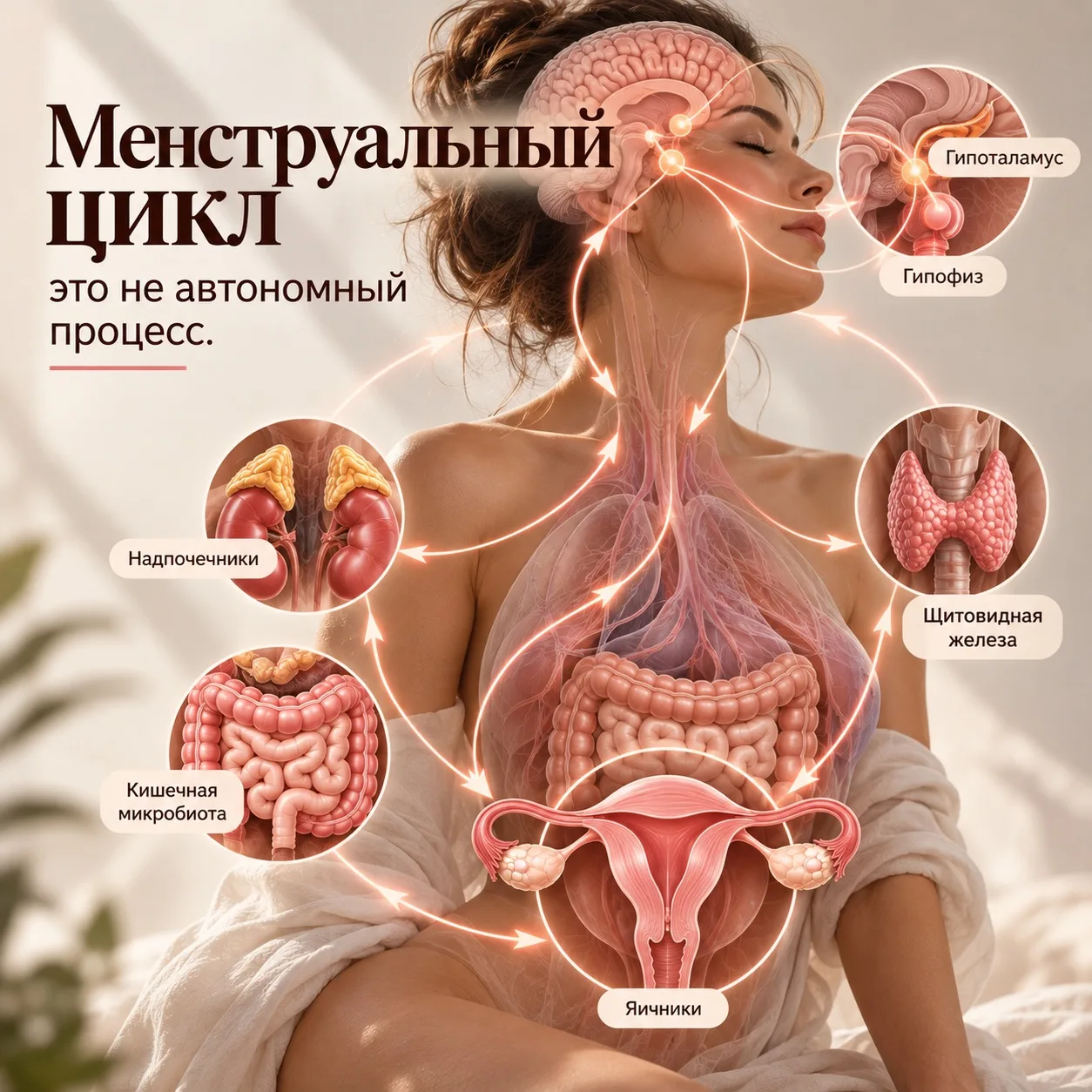 Менструальный цикл, это не автономный процесс. Это тонко регулируемая нейроэндокринная ...