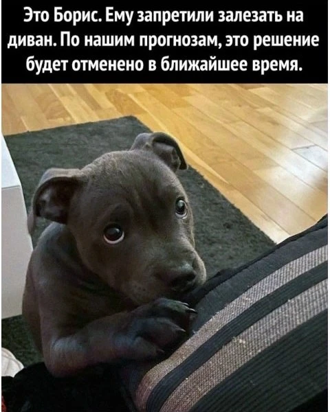 👀MAX С Юмором‼️