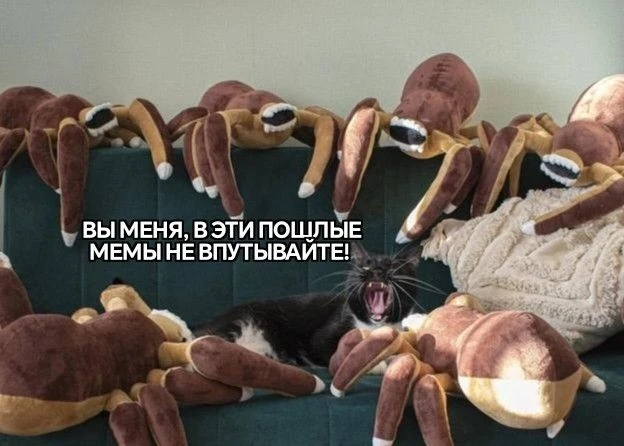 #мчп