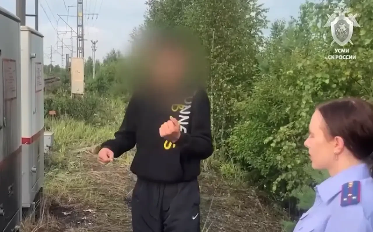 В Челябинской области пятерых осудили за диверсии