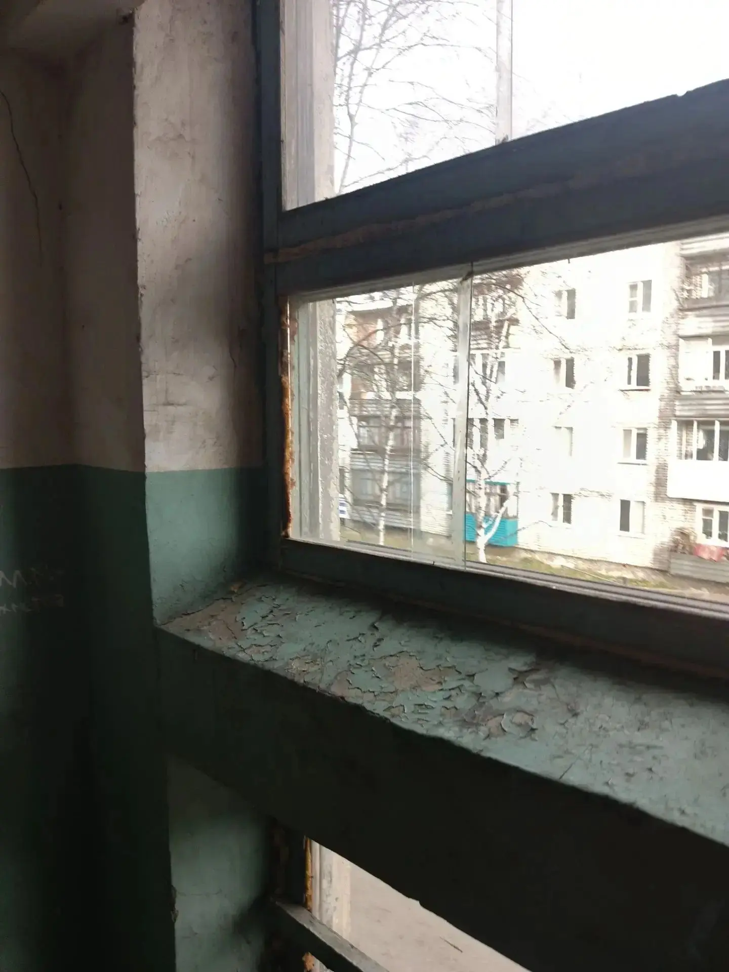 🏡 МУП «Янтарь ДВ»: информация о проведенных работах