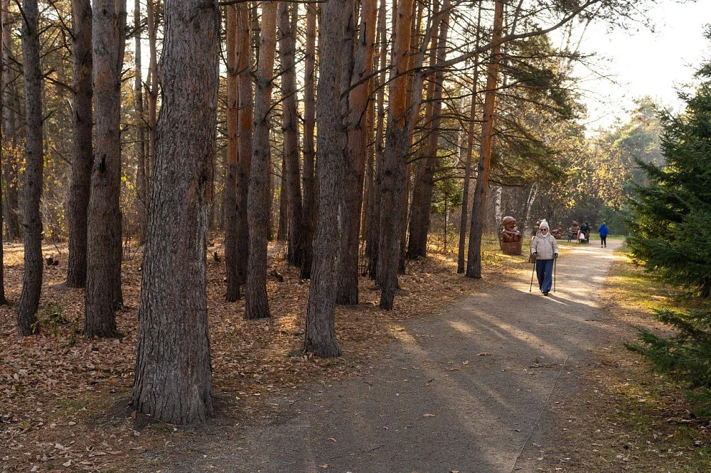🍂 Осенние выходные с детьми: куда съездить недалеко от Кемерова?