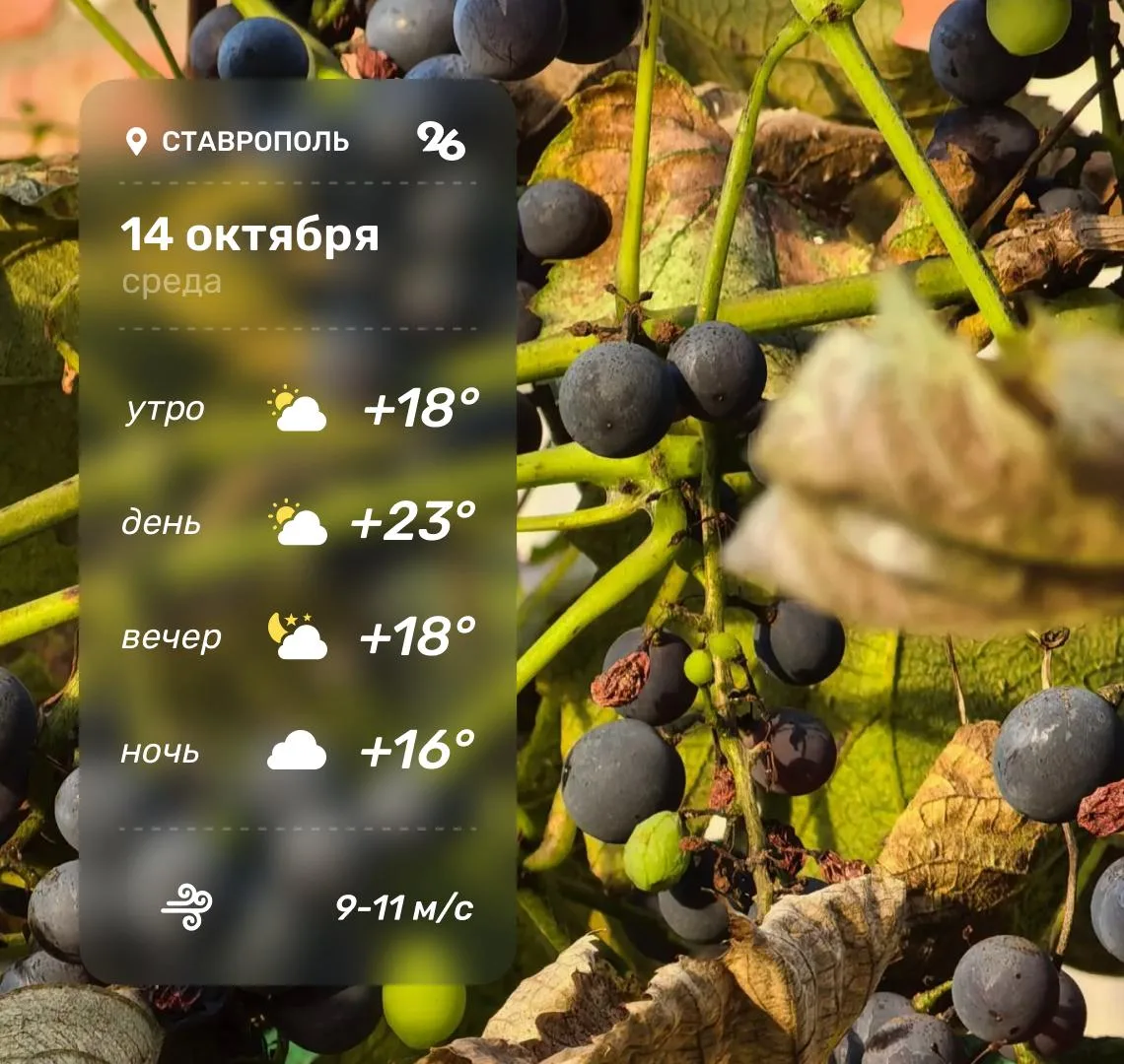 ⛅️ Погода в Ставрополе 14 октября