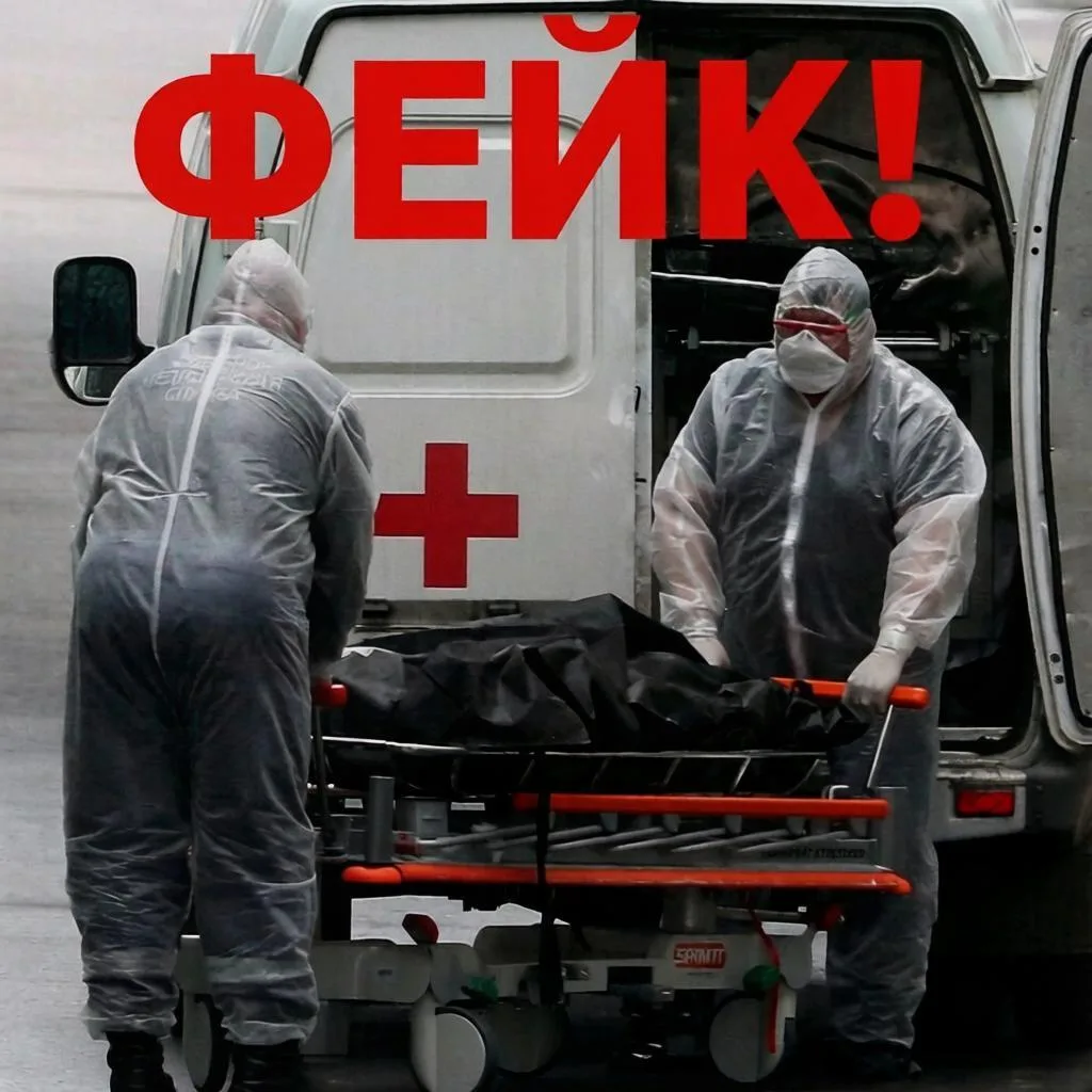 Роспотребнадзор: чумы в Иркутске нет и не было