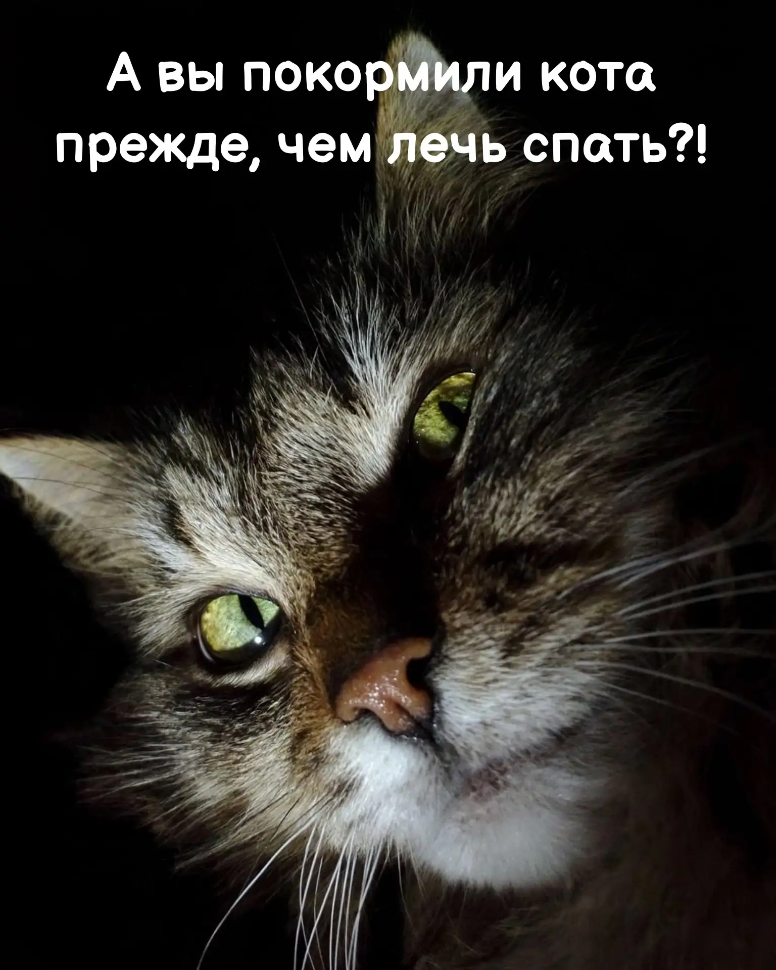 Все ещё не с нами? Подпишитесь!