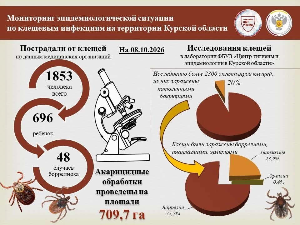 ❗️В Курской области зарегистрировали 48 случаев клещевого боррелиоза