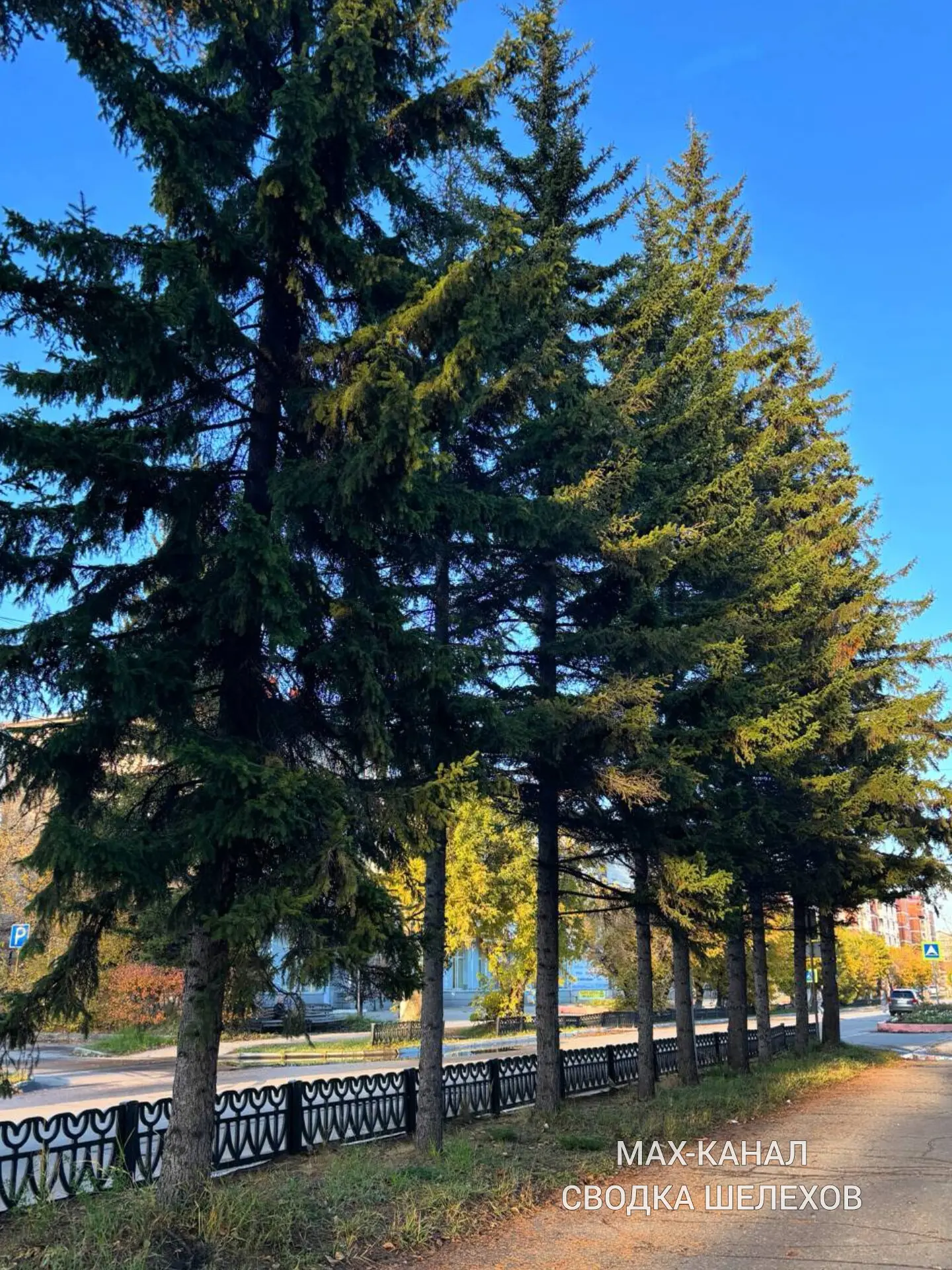 🌲 Шелехов в любое время года — всё равно красиво 😊