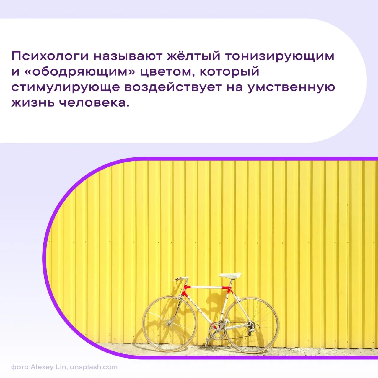 #ПростоФакты обо всем желтом 🍁 Яркая листва, ласковое солнце, тыквенный латте — у осен...
