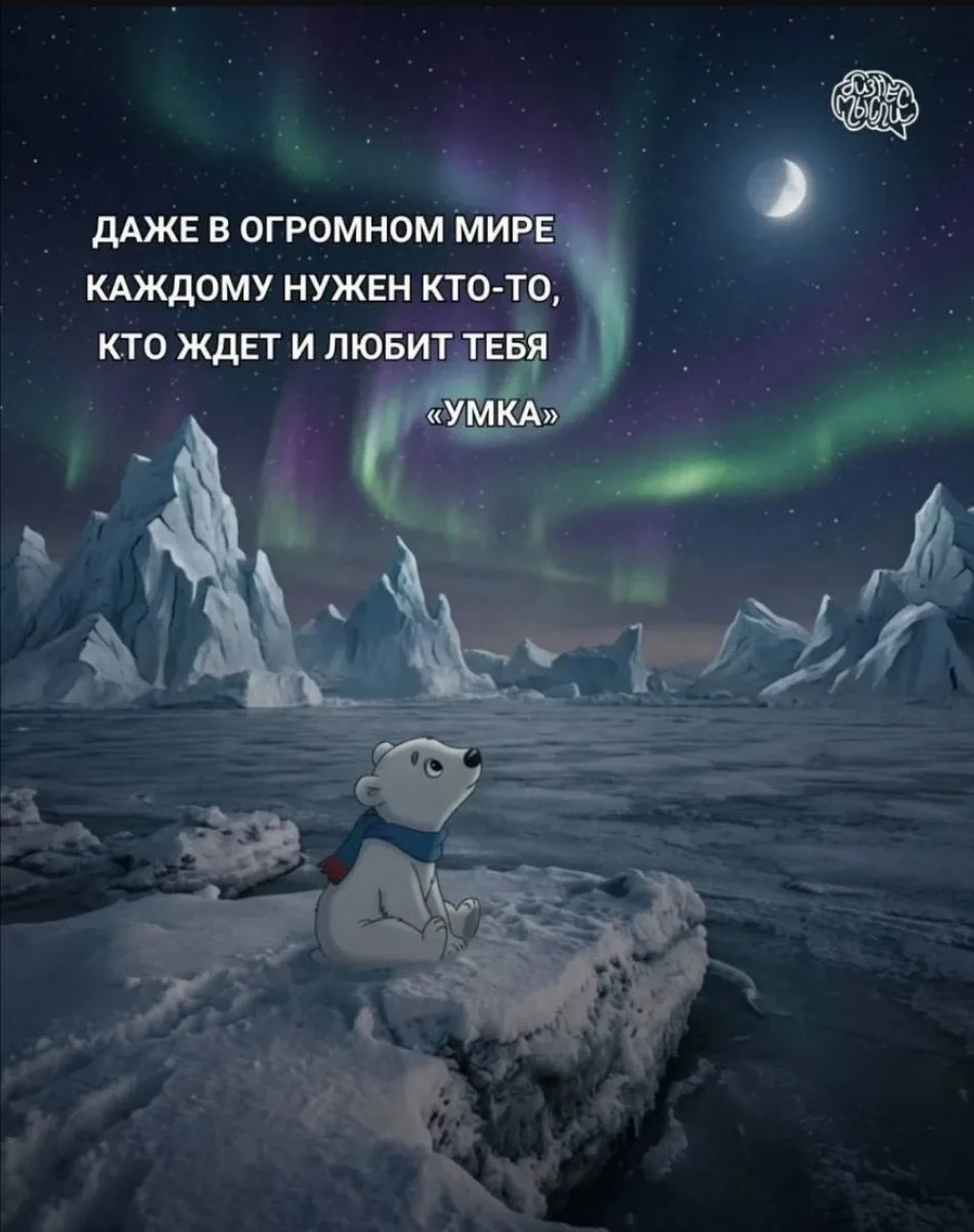 Умная мысль на ночь...