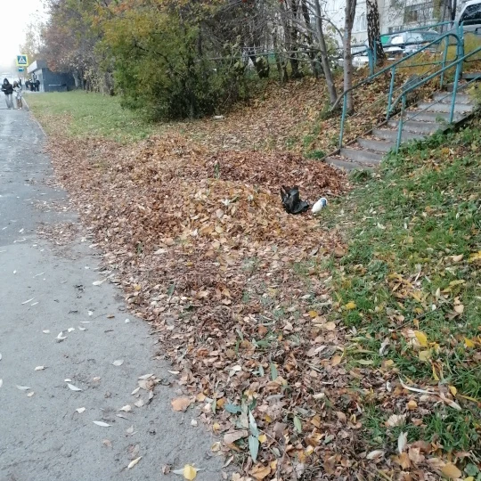 От подписчика: