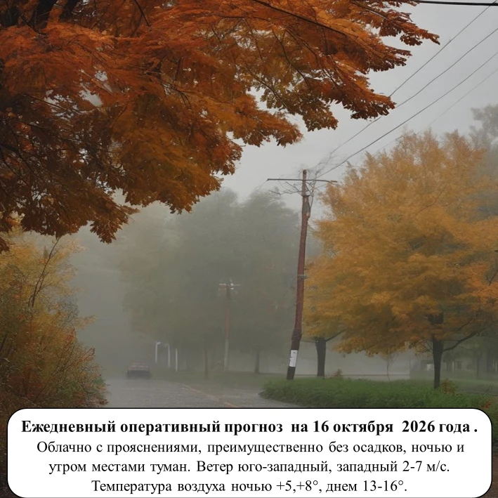 На основании ежедневного оперативного прогноза от ГКУ «ТЦМ»