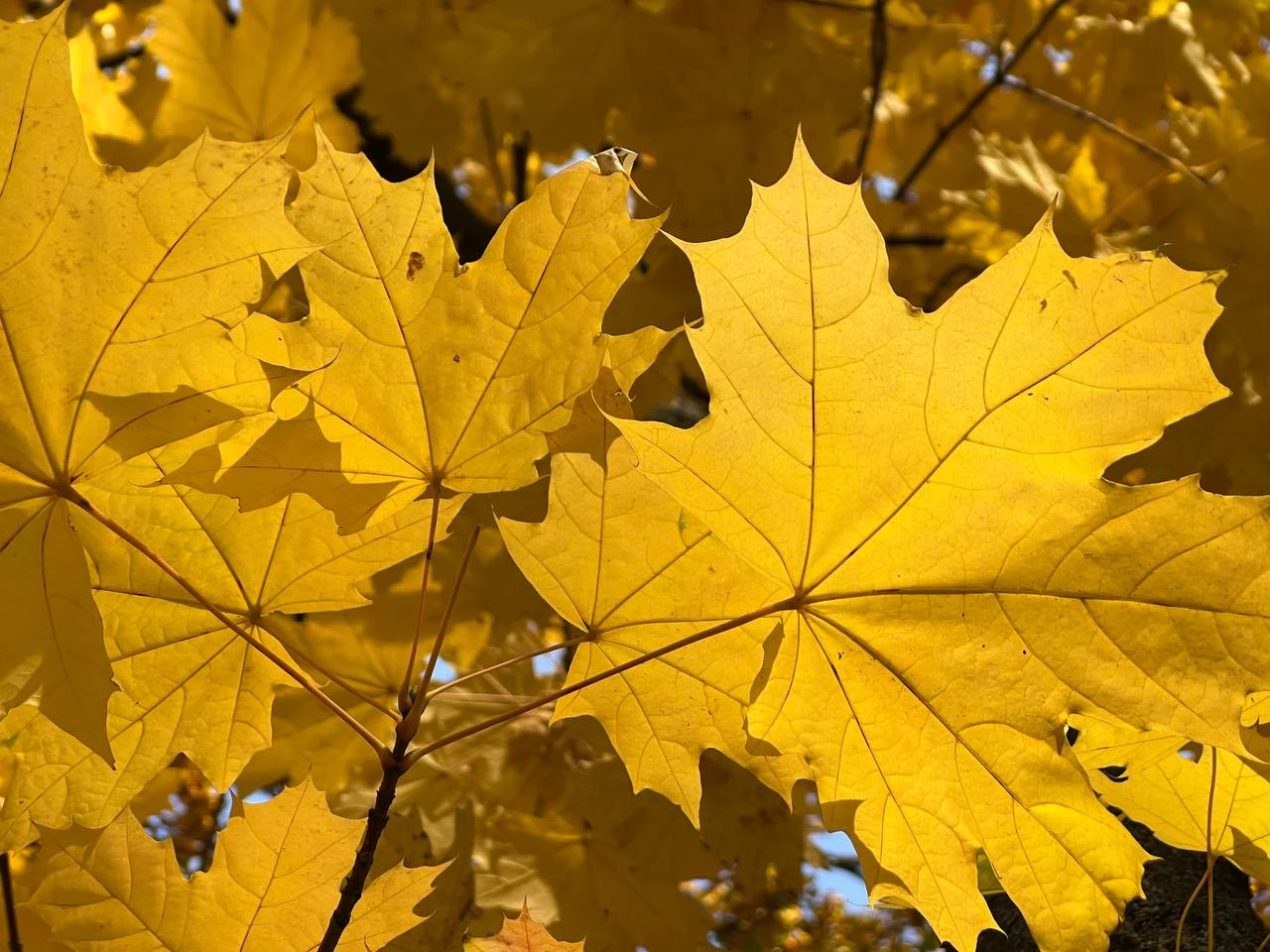 Доброе утро! 🍁