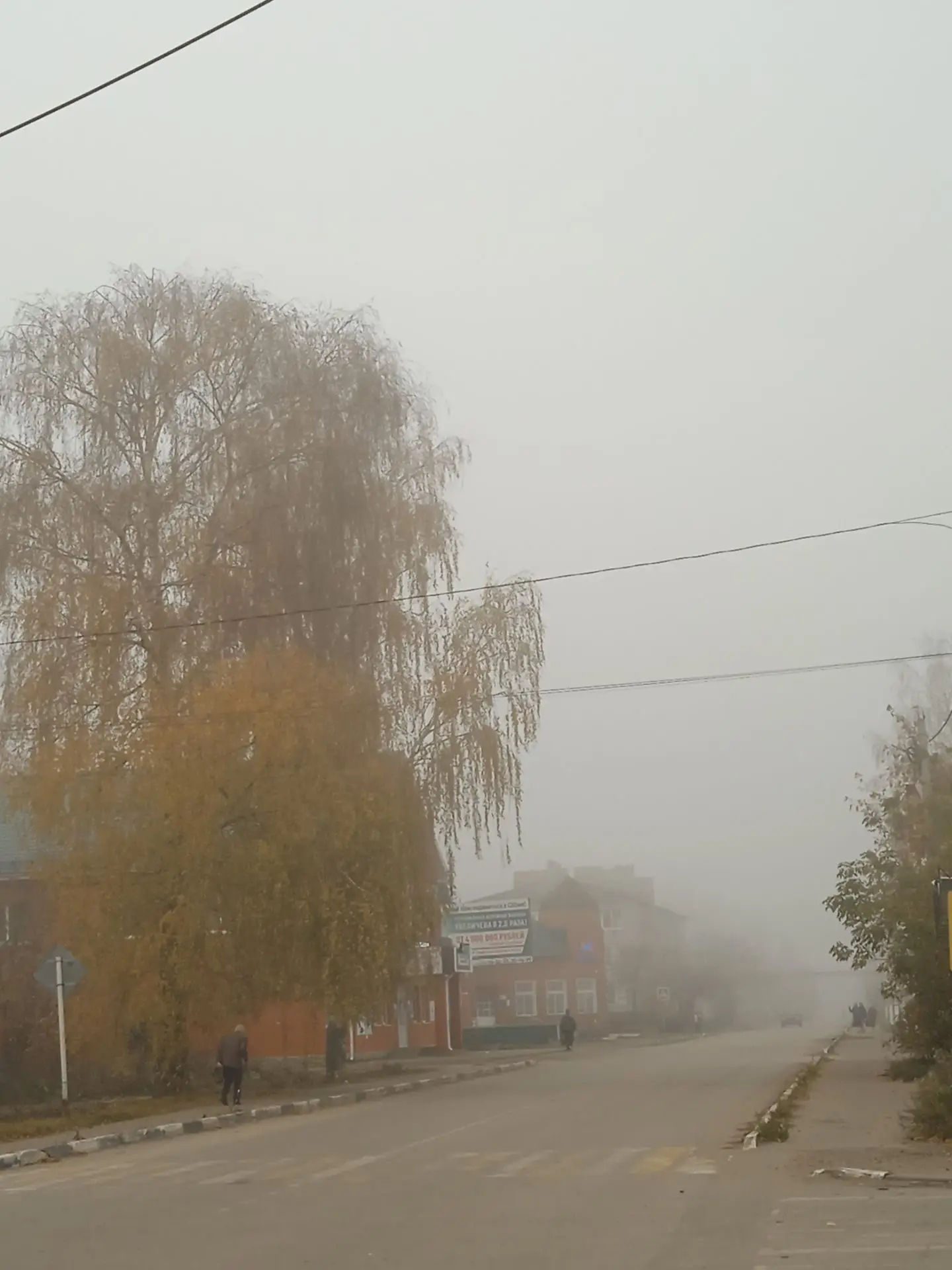 Сегодня Богородица действительно покрыла нас своим покровом! 🙏