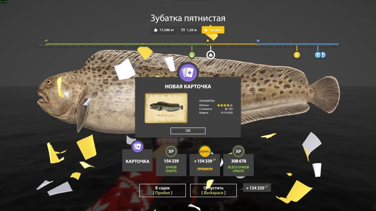 #норвежское@RF4_Vkluchite_klev