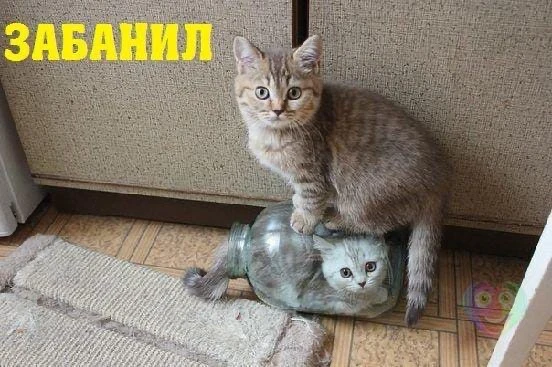 ПЯТНИЦА... УРА!