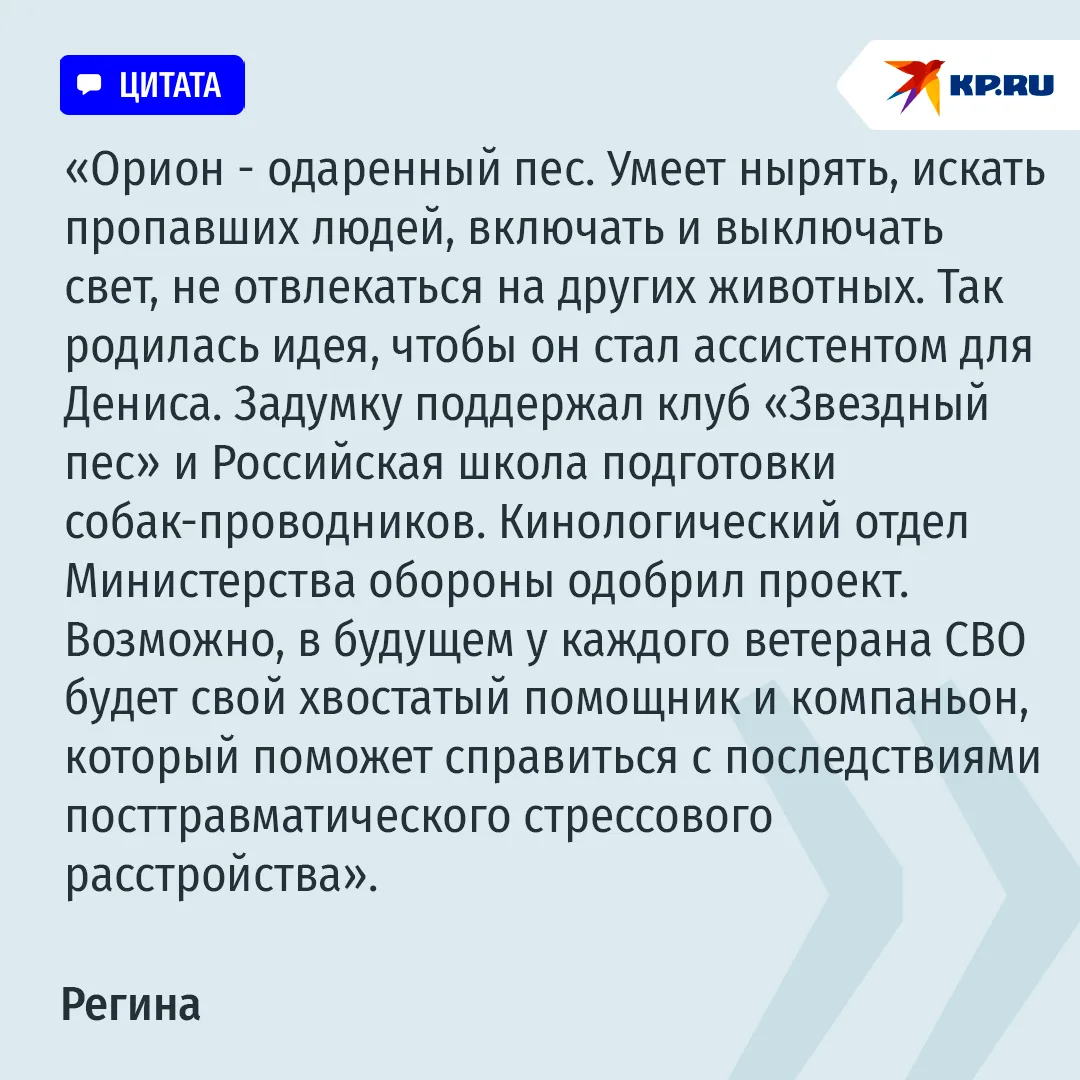 🐶Трое в палате, считая собаку: жена спасает раненого на СВО мужа, а помогает ей в этом...