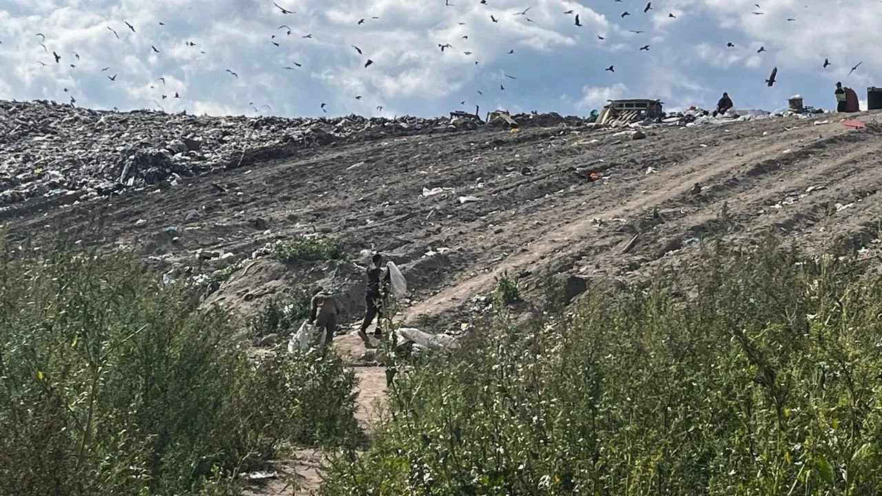 Мусорная империя уходит на этап