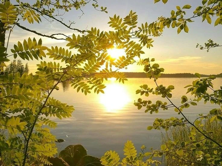 💫 Доброе утро!