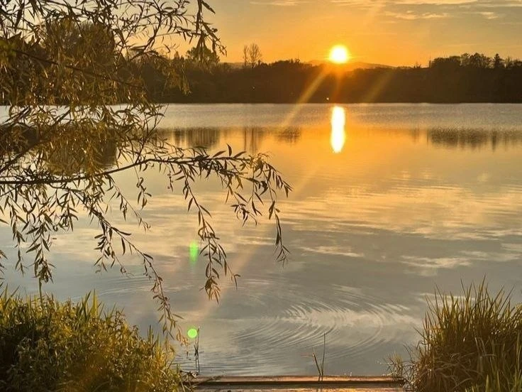 🌸 Доброе утро!