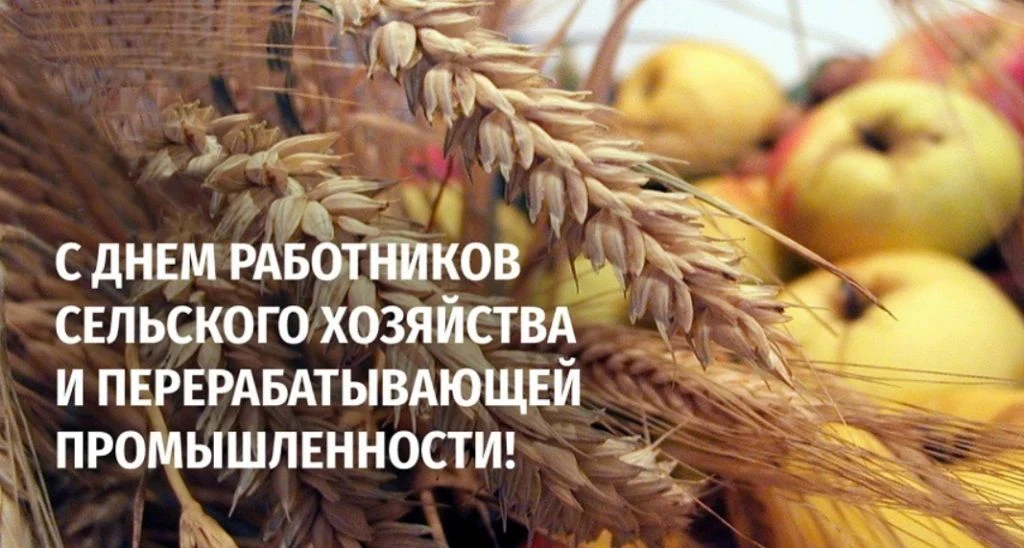 День работника сельского хозяйства и перерабатывающей промышленности