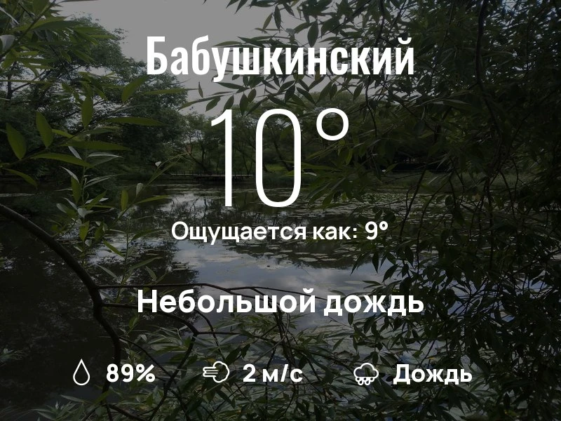 Что с погодой в Бабушкинском?