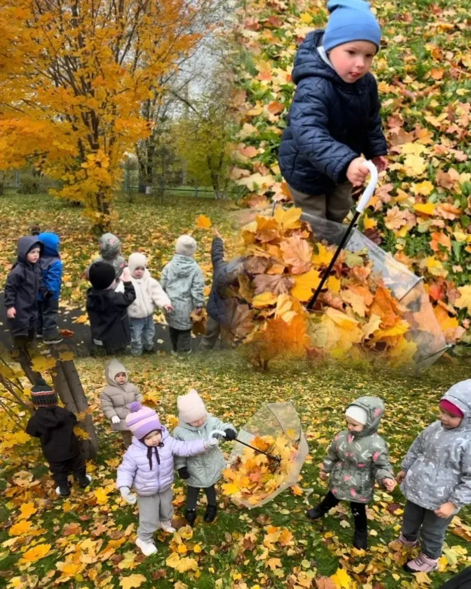Добрые игры:                                                🍁🍂«Там, где лес шумит» Зо...