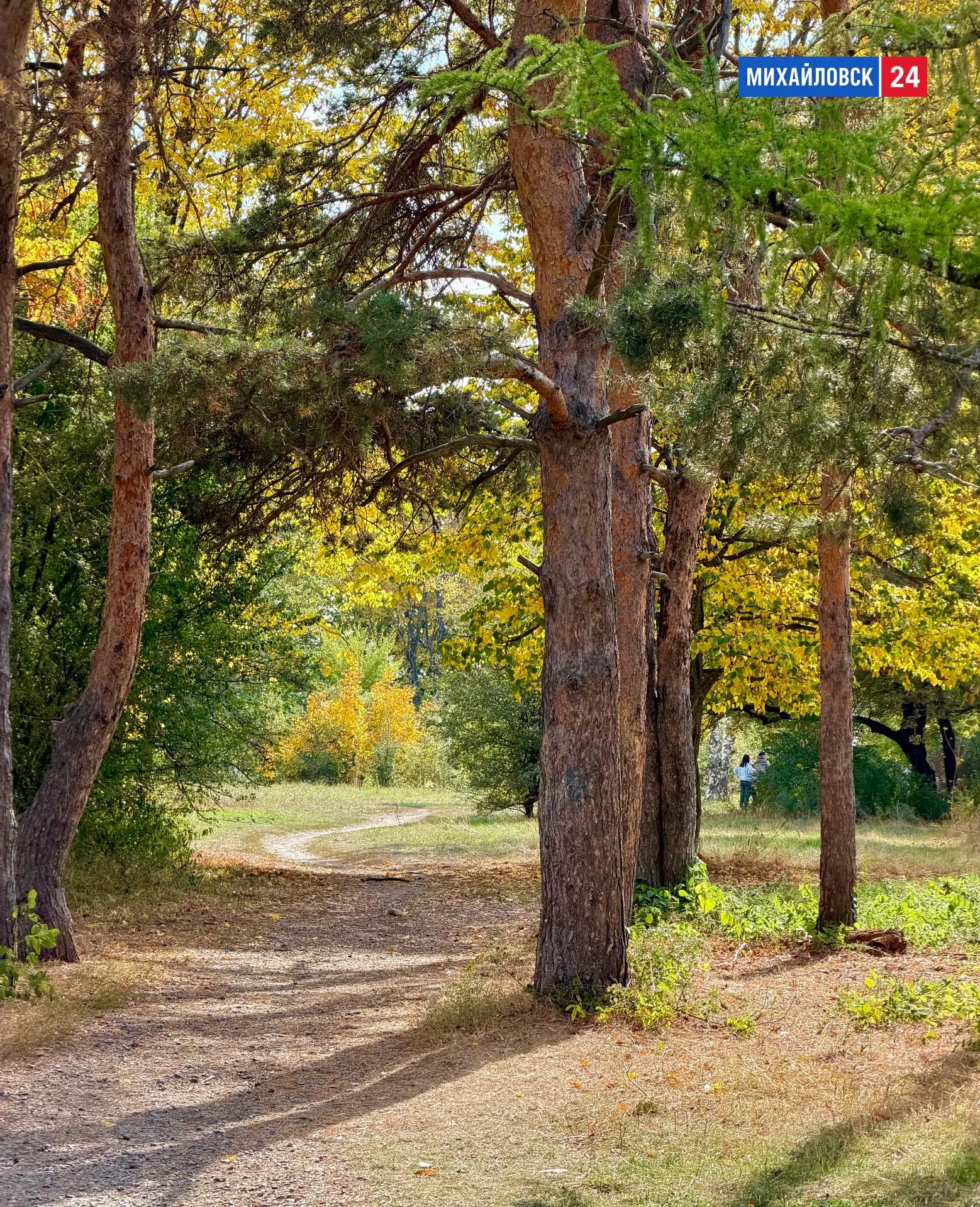 🍂 Осень в дендрарии Михайловска