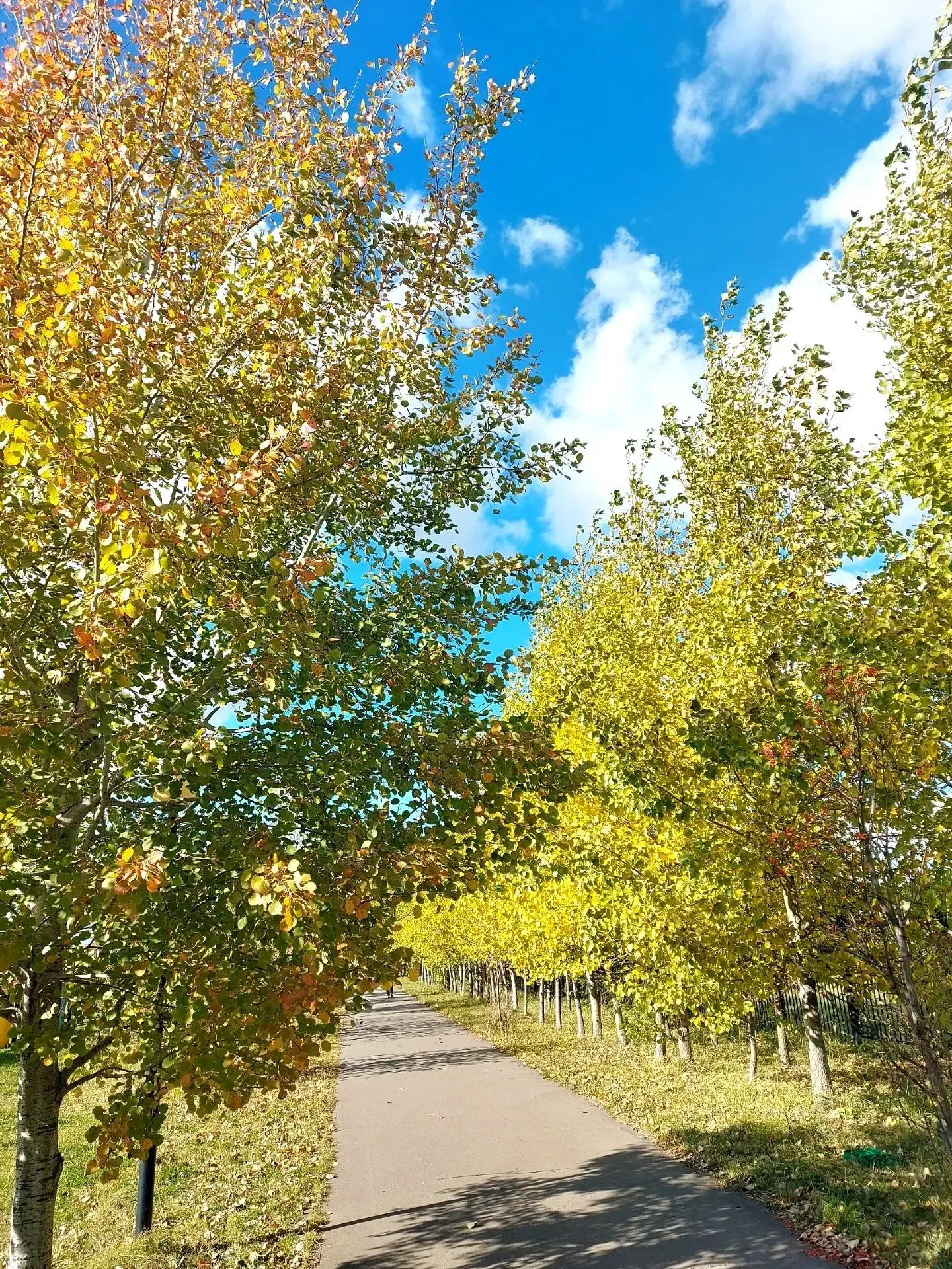 Доброго и солнечного утра, Нурлат! 🌅