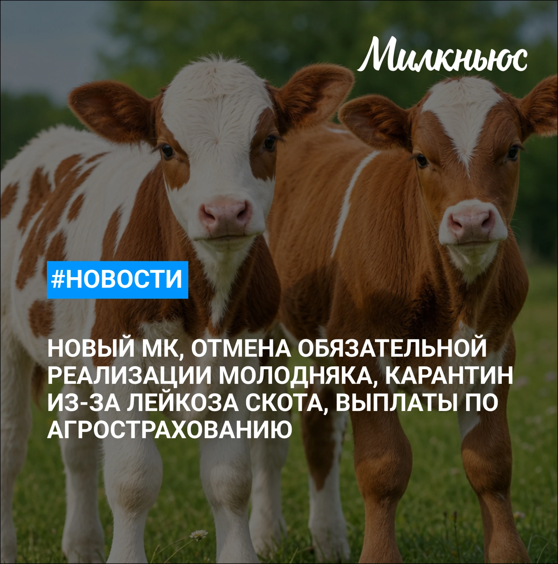 ⚡️ «Эконива» может запустить в курской СЭЗ молочный комплекс за 5 млрд руб.