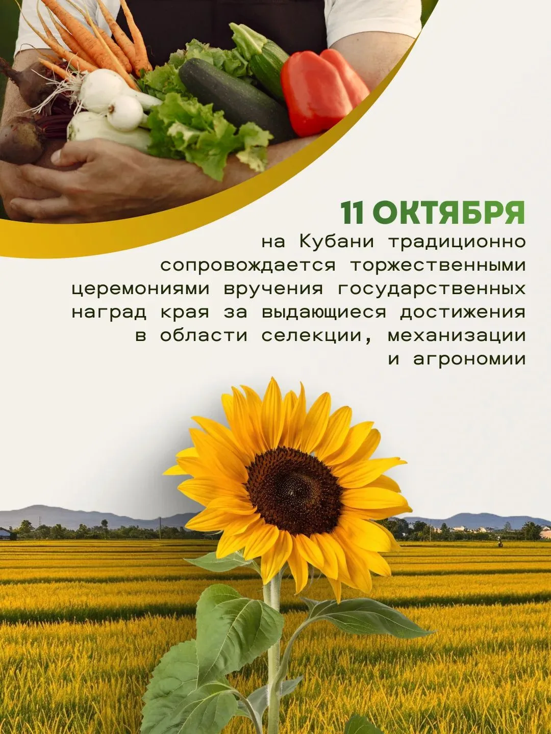 🌾Ежегодно во второе воскресенье октября Краснодарский край отмечает День работника сел...