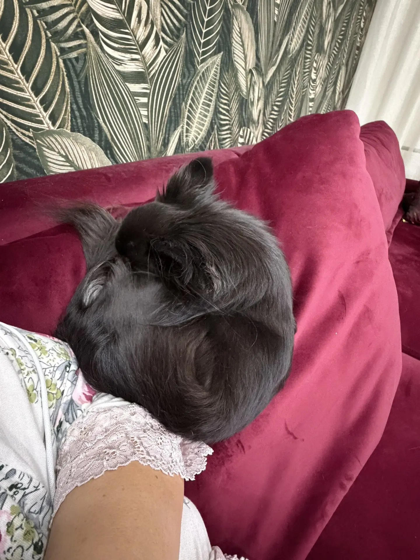 Почти вертикально висит, но лишь бы рядом с мамой☺️🥰😄❤️ я не знаю, как она не скатыва...