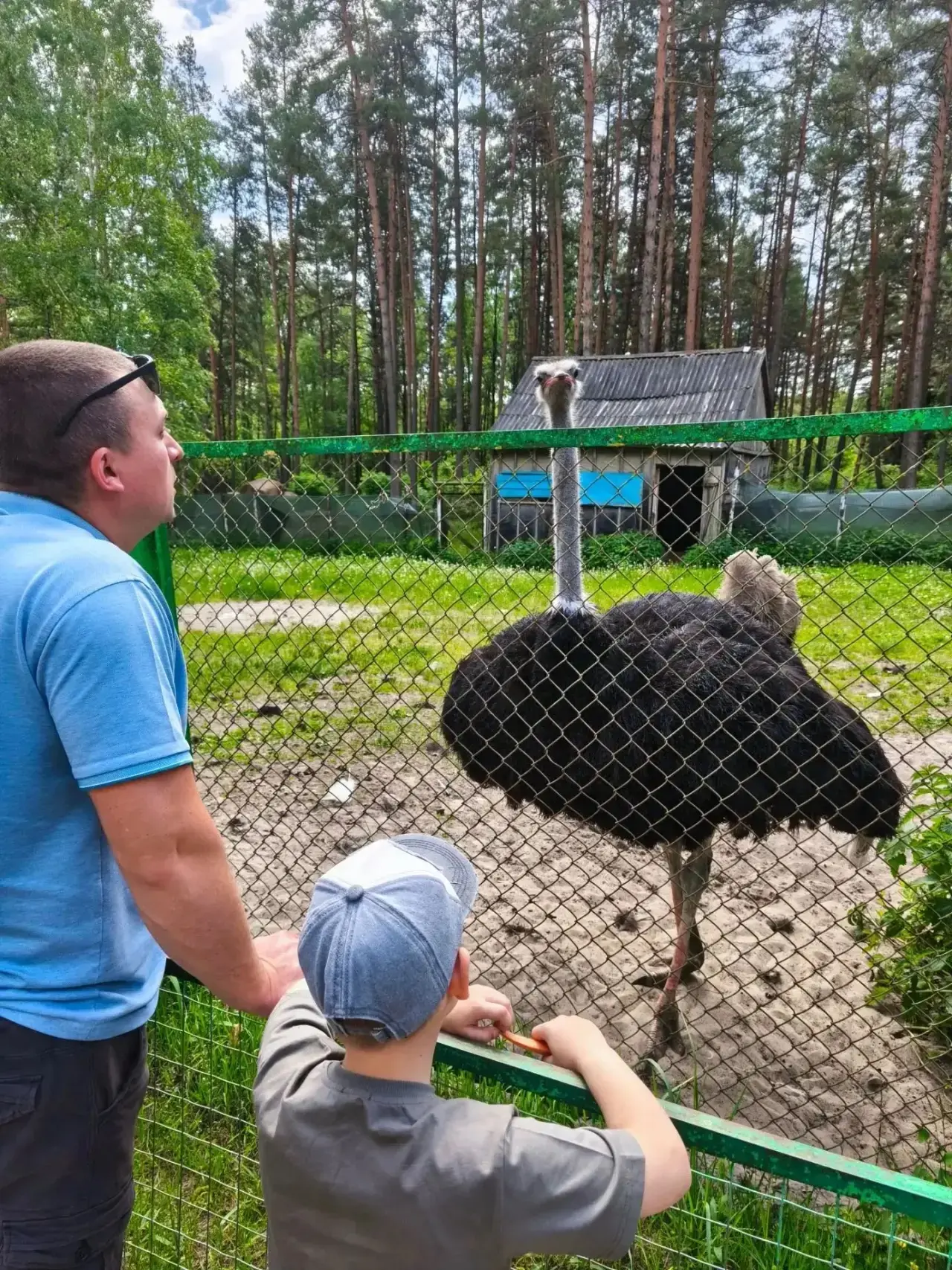 Онлайн-акция «Вместе с папой!»👨❤️