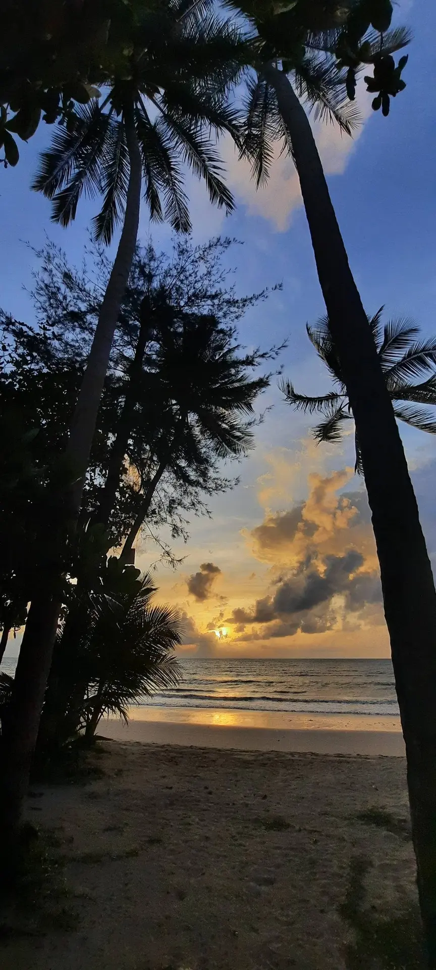 ТАИЛАНД 🇹🇭