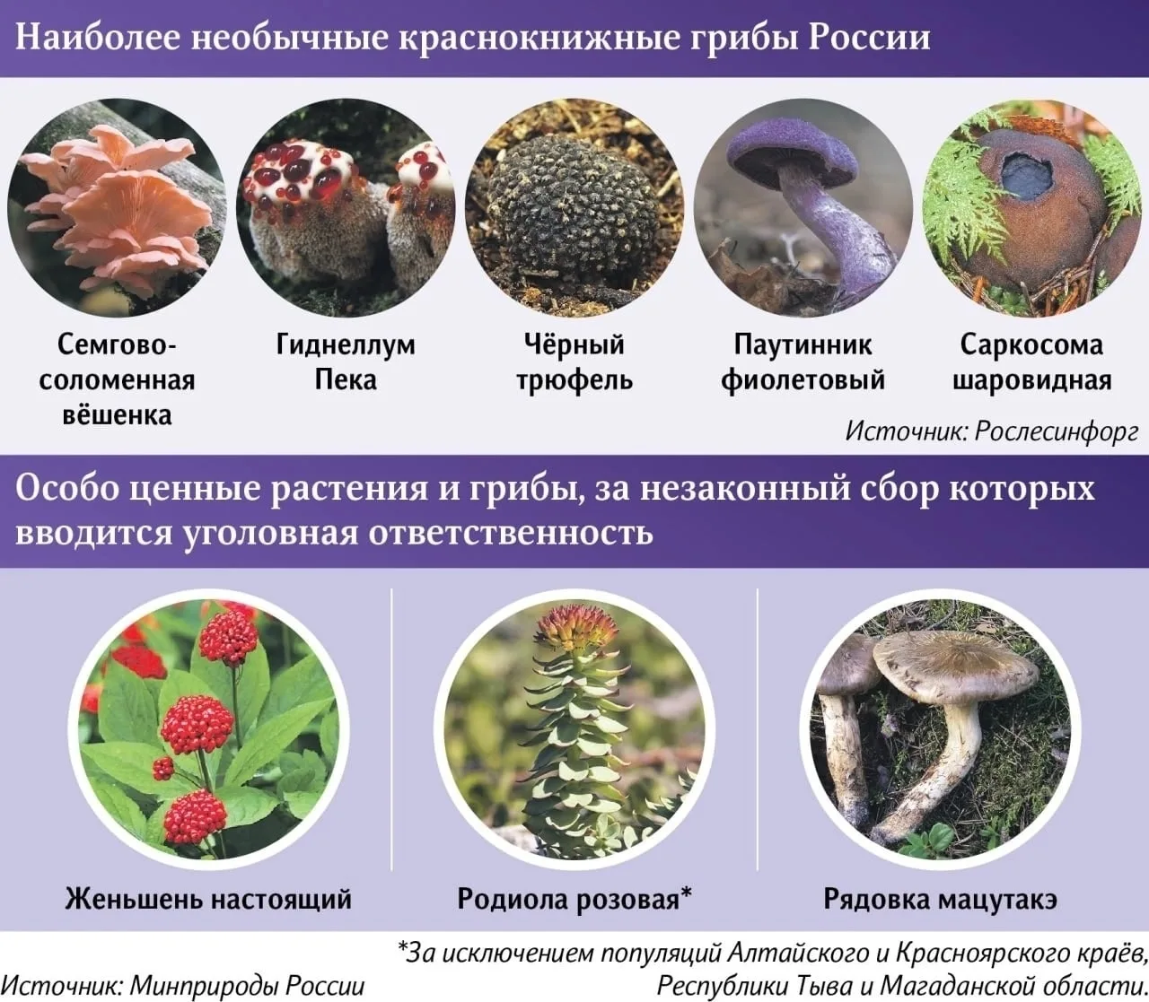 Знали?