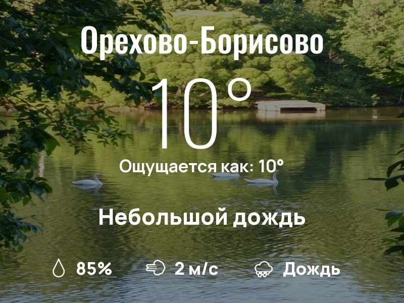 Что с погодой в Орехово-Борисово?