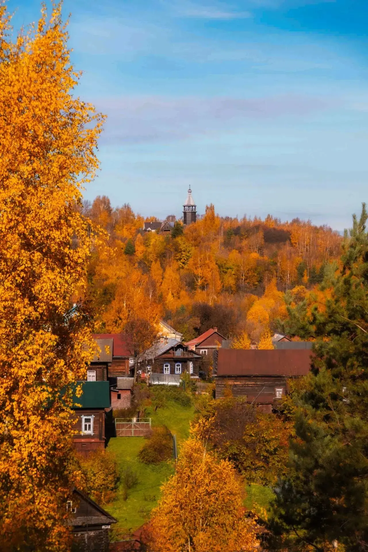 🍂 #Юрьевец в золотом убранстве осени. Купола в золоте листвы, Волга в осеннем свете — ...
