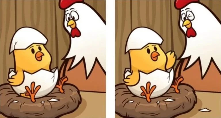 Попробуйте найти 5 отличий. 🐔🐓