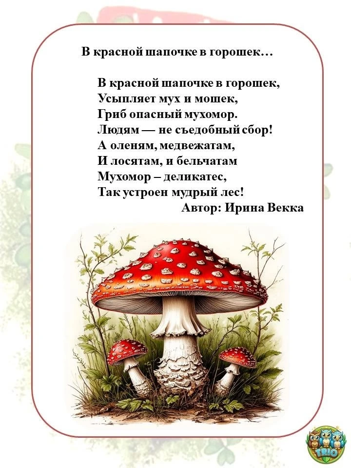 🍂🍄6 октября прошел День мухомора!