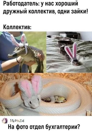 💼 «Зарплата по договорённости» и «дружный коллектив»: какие фразы в вакансиях отпугива...