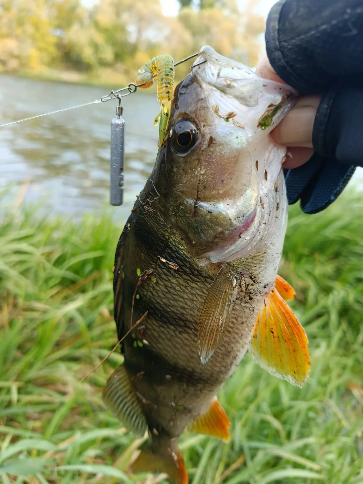 Приехал в 10,30 рыбалка началась 🎣. Вечером отчёт.