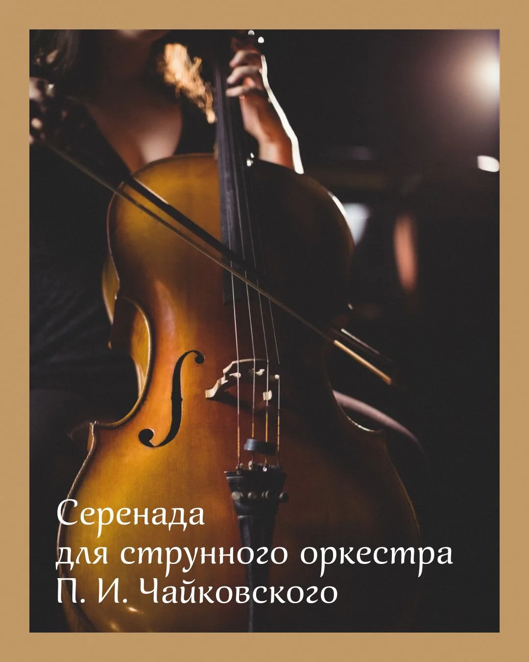 «Нечаянная» серенада Чайковского🎹