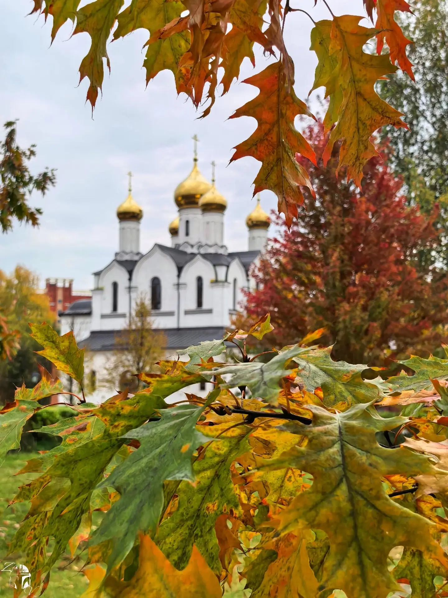 09.10.2026. Дубна. Осенние моменты. Церковь Рождества Иоанна Предтечи🤳🏙⛪️🍂🍁🐈🌳